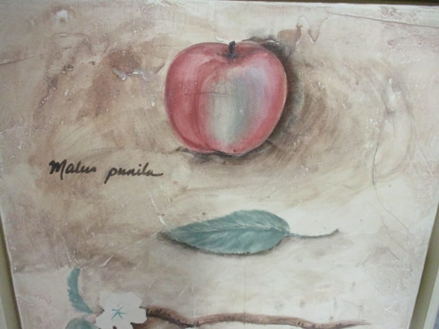 Two Framed Guild Master Fresco Style Botanical Fruit Artworks - 10
