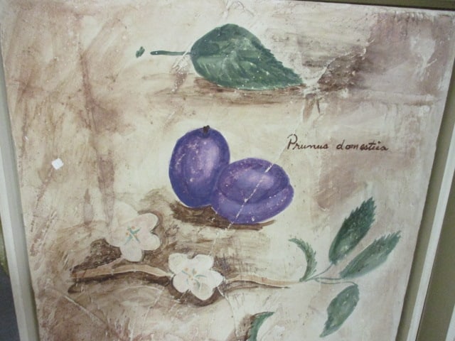 Two Framed Guild Master Fresco Style Botanical Fruit Artworks - 3