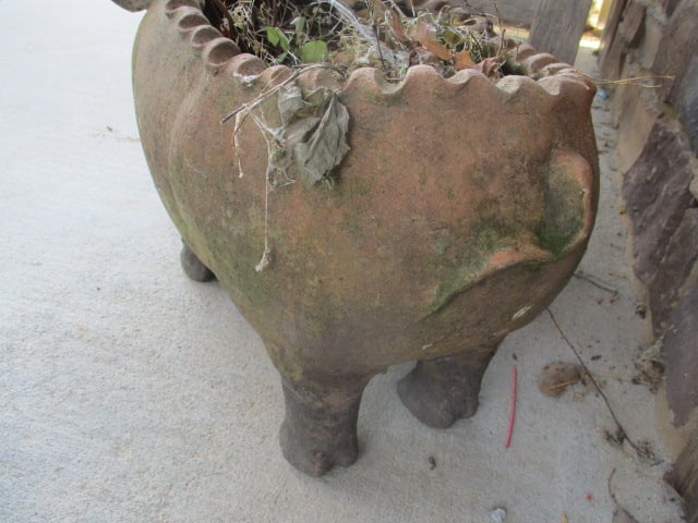 Terra Cotta Pig Planter - 4