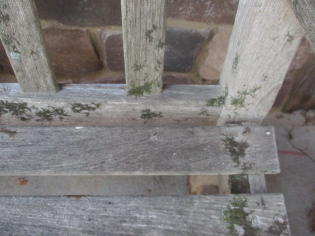 Wood Slat Bench - 7