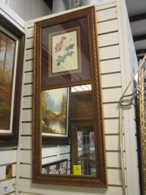 Trumeau Mirror with Framed/Matted Botanical Plate Print: 15 3/4" x 37 1/4", Local Pickup Suggested