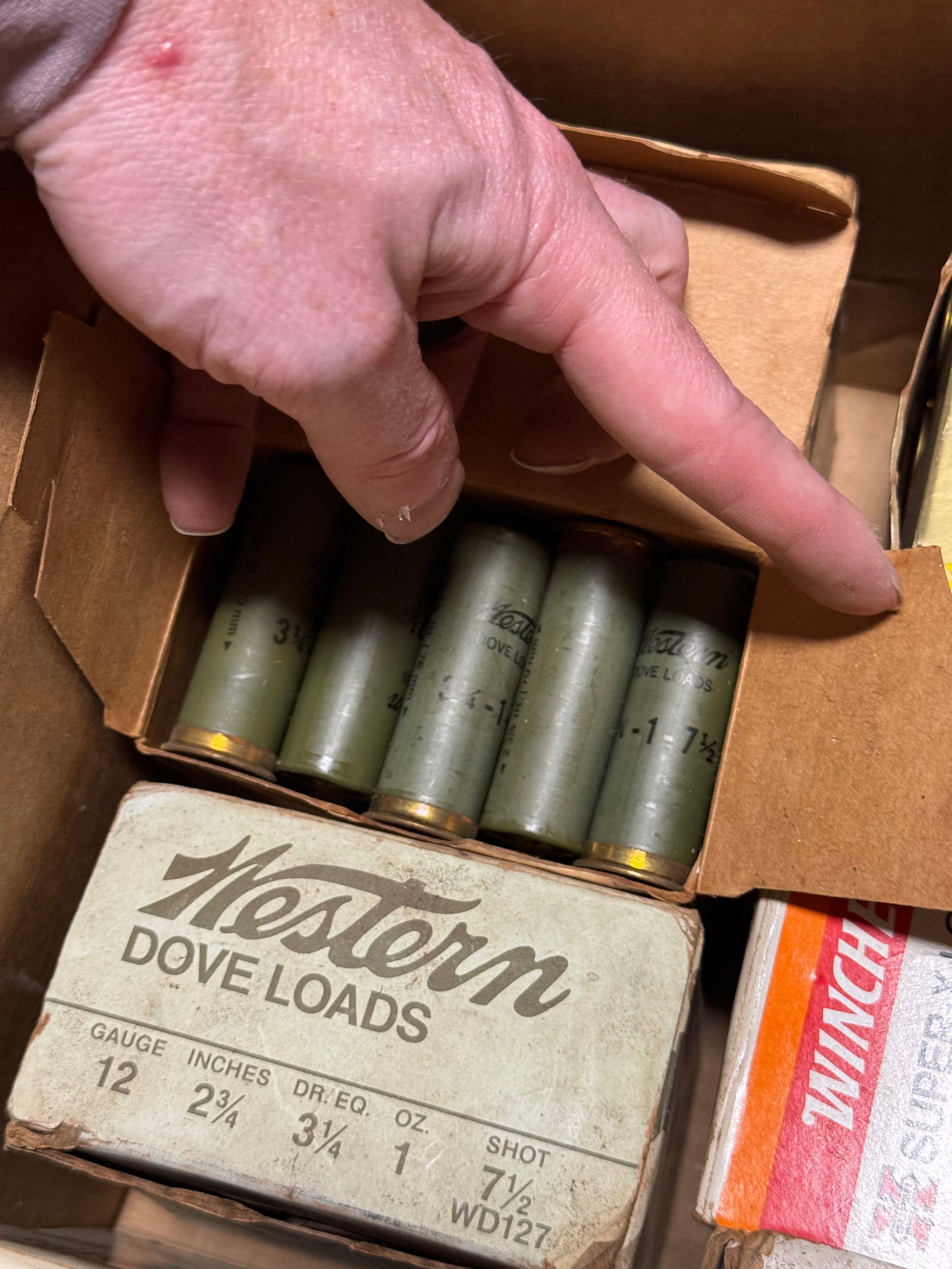 17.1 Lbs. of Various 12 GA. Factory Shotgun Ammunition - 2