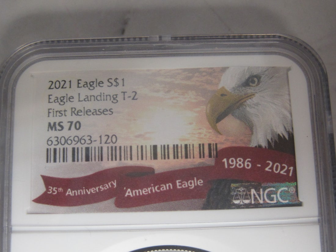 2021 American Eagle Eagle Landing T-2 - 2