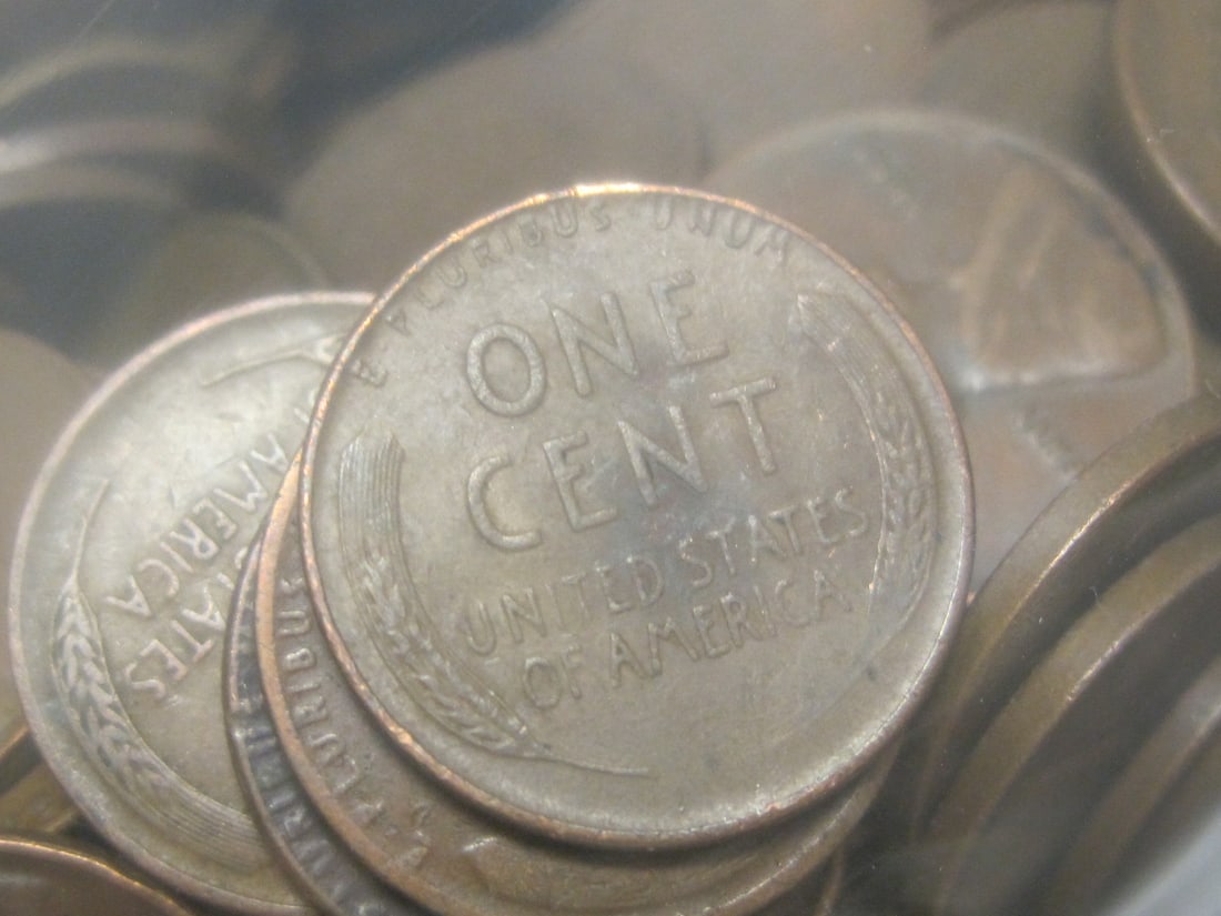 8+ lbs. of Wheat Pennies - 2