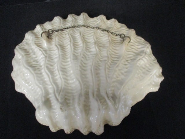 Circa 1894 Shell Form Handpainted Welsh Cottage Wall Hanger Signed by Artist - 4