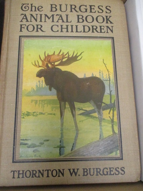 Three Old Children's Hardback Books - 3