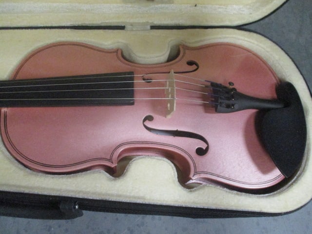 Pink Austin Baeaar Violin in Canvas Case - 2