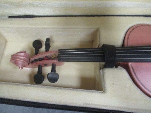 Pink Austin Baeaar Violin in Canvas Case - 3