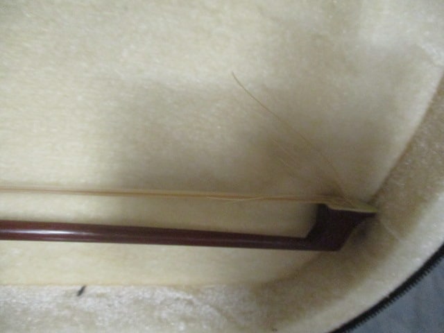 Pink Austin Baeaar Violin in Canvas Case - 4