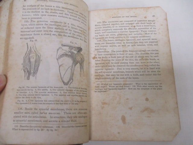 Two Antique Books with Illustrations - 6
