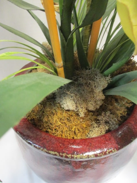 Nice Silk Orchid Arrangement in Burgundy Glazed Clay Pot - 3