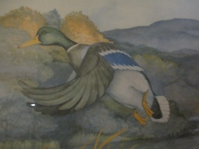 Signed Limited Edition Mallard Print by Robert Box - 3