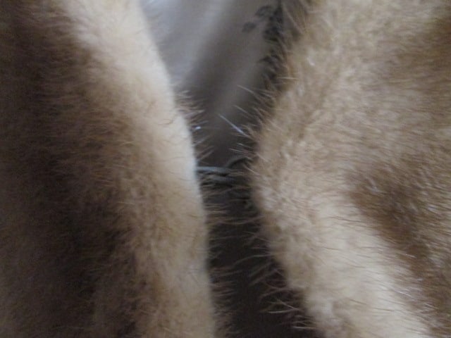 Vintage La Belle Furs Columbia, SC Mink Capelet - 5