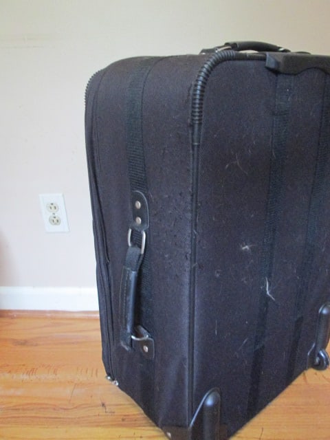 Two Black American Tourister Rolling Canvas Suitcases - 9