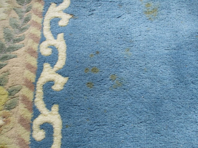 Genuine Chindia All Pure Wool Pile Hand Woven Blue/Ivory Border Floral Medallion Room Size Rug - 12