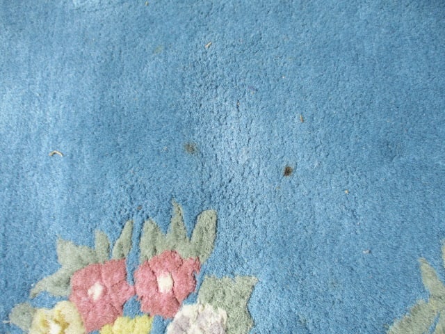 Genuine Chindia All Pure Wool Pile Hand Woven Blue/Ivory Border Floral Medallion Room Size Rug - 14