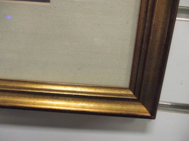 Framed and Matted John James Audubon "Canvas Backed Duck" Reproduction of - 6