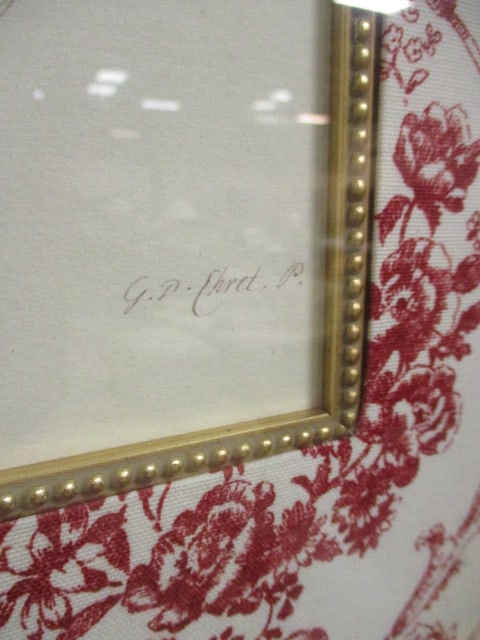 Framed and Matted "Floritus Majoritus" by Ehret Botanical Print - 5
