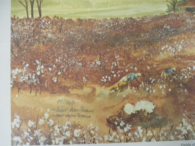 Unframed Limited Edition "Fields of Cotton" Print of Watercolor by Joann Jacks Cataldo - 2