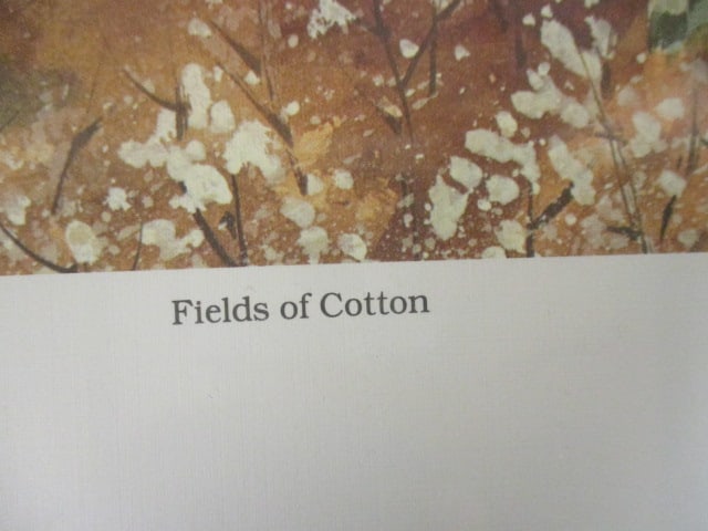 Unframed Limited Edition "Fields of Cotton" Print of Watercolor by Joann Jacks Cataldo - 5