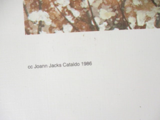Unframed Limited Edition "Fields of Cotton" Print of Watercolor by Joann Jacks Cataldo - 6