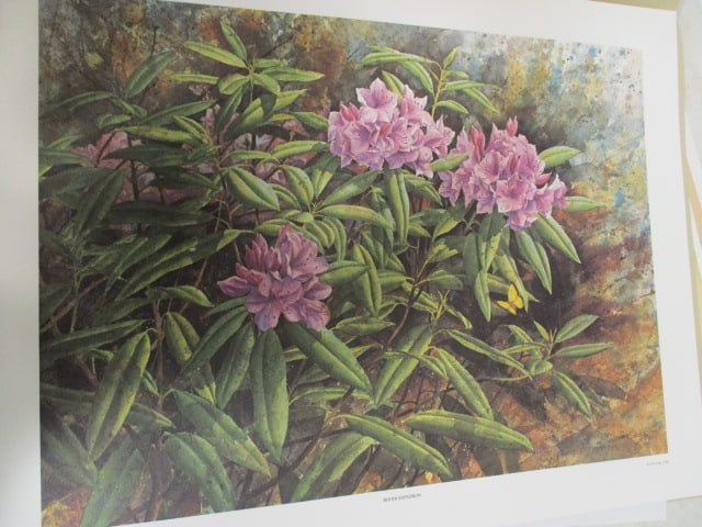 Five Unframed Signed Limited Edition Jim Gray Mountain Wildlife Prints - 2