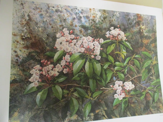 Five Unframed Signed Limited Edition Jim Gray Mountain Wildlife Prints - 3