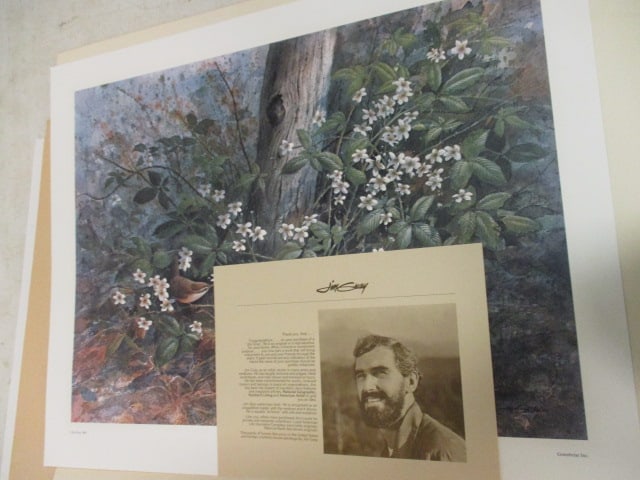 Five Unframed Signed Limited Edition Jim Gray Mountain Wildlife Prints - 4