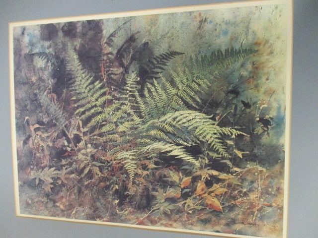 Five Unframed Signed Limited Edition Jim Gray Mountain Wildlife Prints - 7