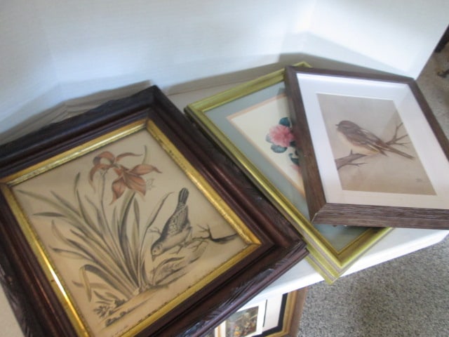 Four Framed Botanical Flower and Bird Nature Prints: .