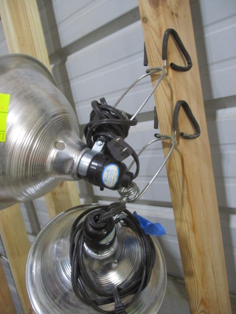 Pair of Heat Lamps with Cut Bulb - 3