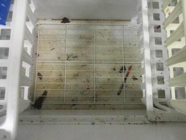 Frigidaire Chest Freezer - 6
