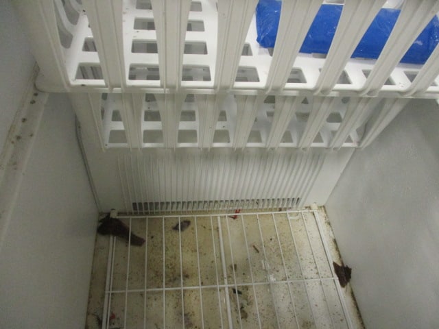 Frigidaire Chest Freezer - 7
