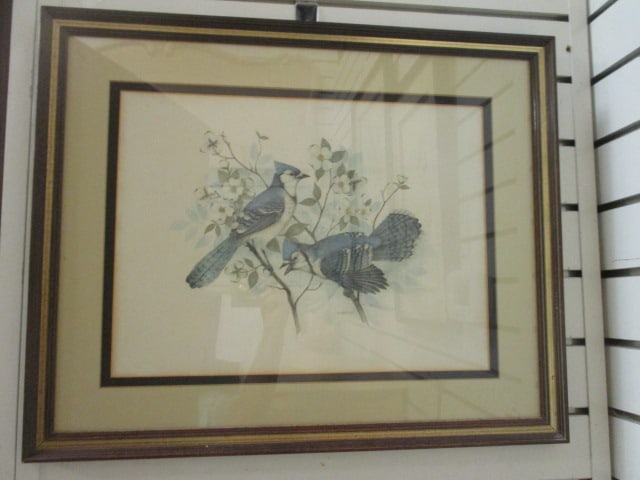 "Blue Jays on Dogwood Branch" Ornithological Bird Print by T. Massa: Framed and matted 21 3/4" x 17 3/4"