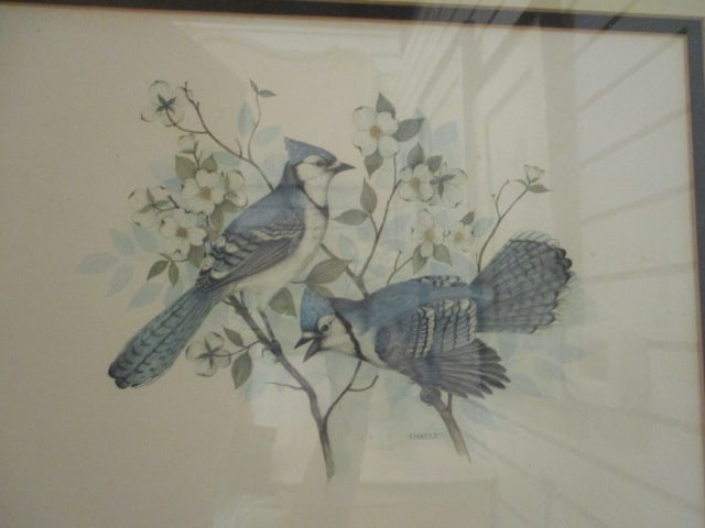 "Blue Jays on Dogwood Branch" Ornithological Bird Print by T. Massa - 2