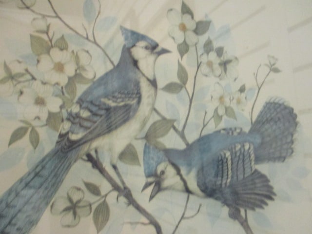 "Blue Jays on Dogwood Branch" Ornithological Bird Print by T. Massa - 3
