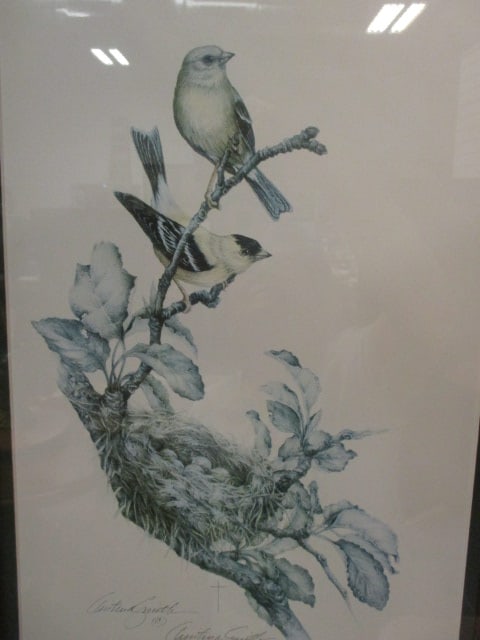 Three Limited Edition Christina Smith Ornithological Bird Prints - 3