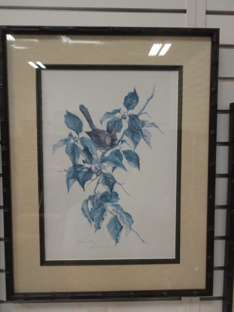 Three Limited Edition Christina Smith Ornithological Bird Prints - 5
