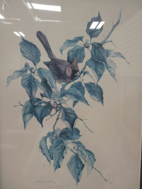 Three Limited Edition Christina Smith Ornithological Bird Prints - 6
