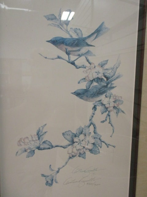 Three Limited Edition Christina Smith Ornithological Bird Prints - 9
