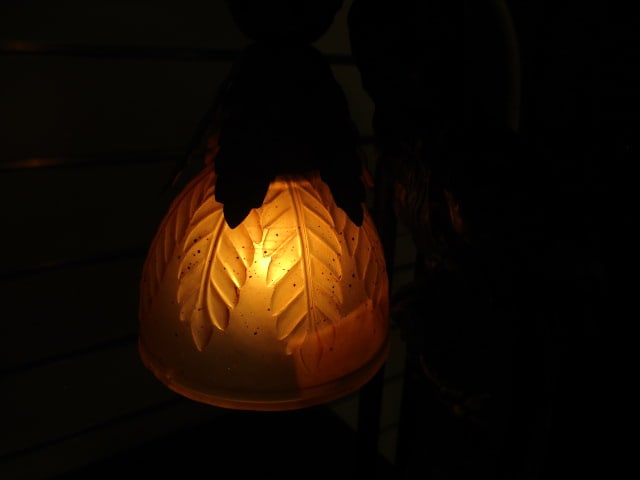Sculpted Tropical Parrot Table Lamp with Frosted Leaf Glass Shade Night Light - 7