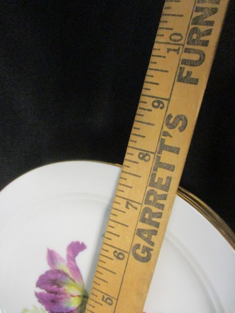 16 Pieces of Royal KPM Bavaria West German Porcelain Multi Color Floral Design Plates - 7