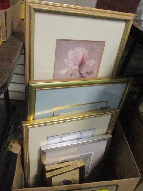 Framed Botanical and Bird Prints (1 of 6)
