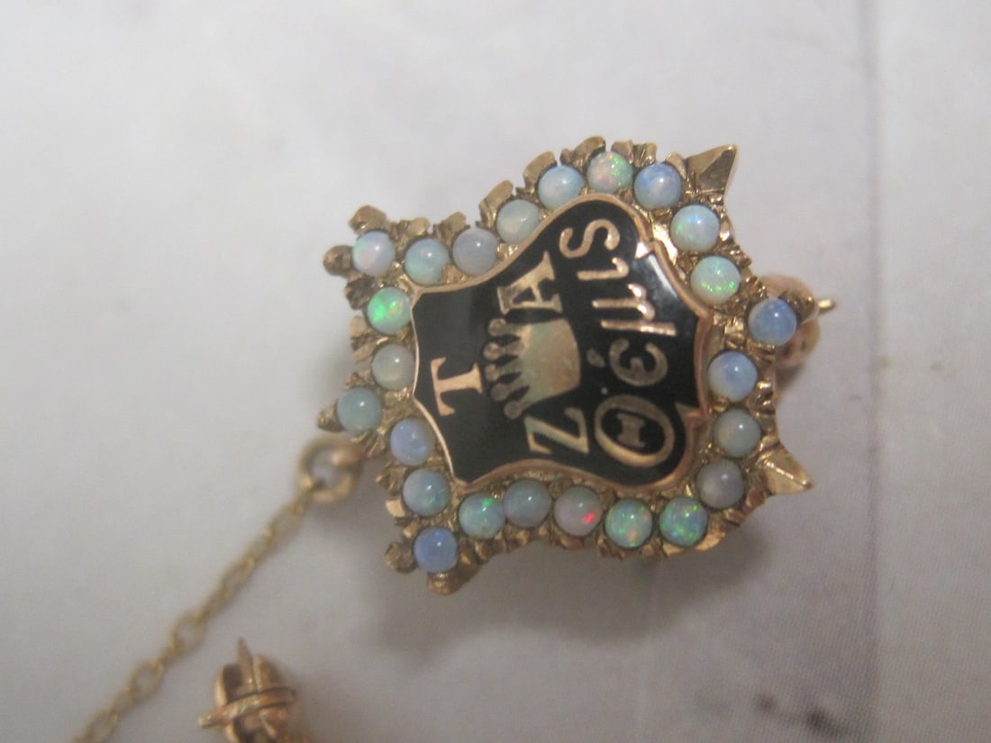 10k Gold Fraternity Lapel Pin with Opal Border & Gold-Filled Charms - 2