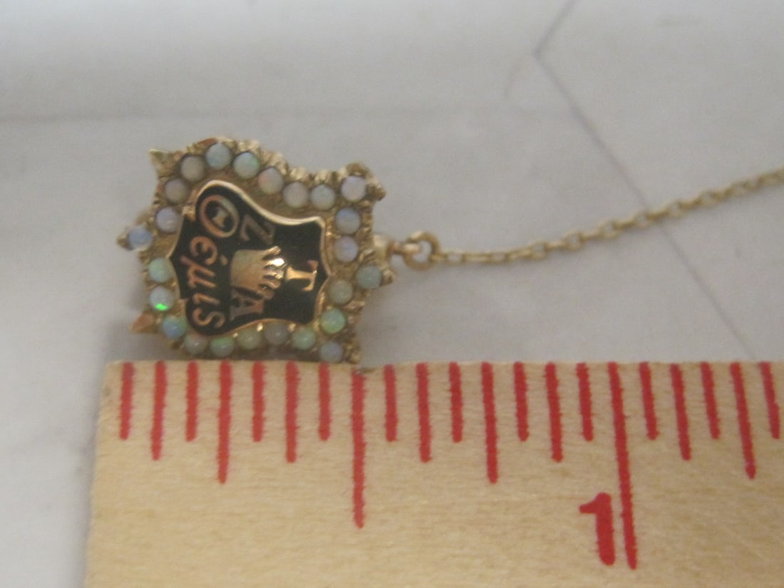 10k Gold Fraternity Lapel Pin with Opal Border & Gold-Filled Charms - 5