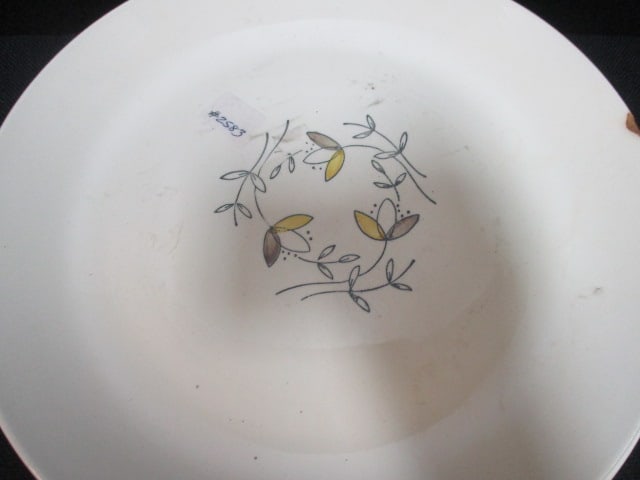 Five Blue Ridge Pottery Dinner Plates - 5