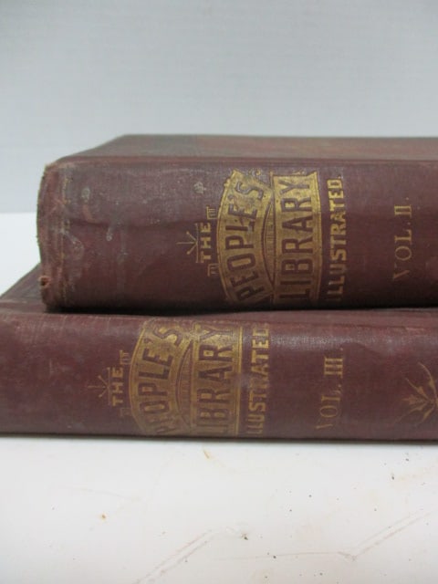 Antique 1883 "The People's Library for the Farm, Home and School" Vol. II and III - 2