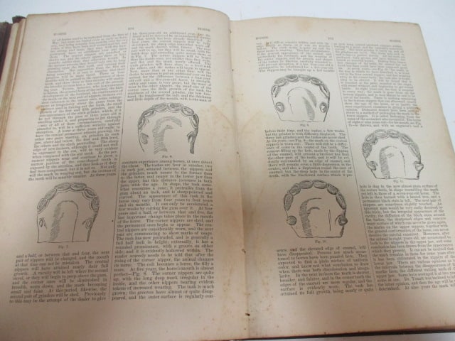 Antique 1883 "The People's Library for the Farm, Home and School" Vol. II and III - 5