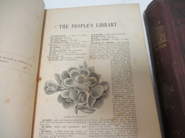 Antique 1883 "The People's Library for the Farm, Home and School" Vol. II and III - 7