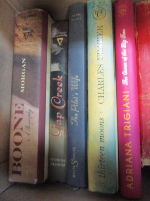 Grouping of Novels, Reference Books and Health Books - 4